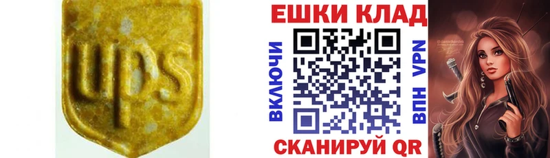 закладка  Городец  Ecstasy Дубай 