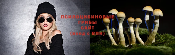 дмт Беломорск