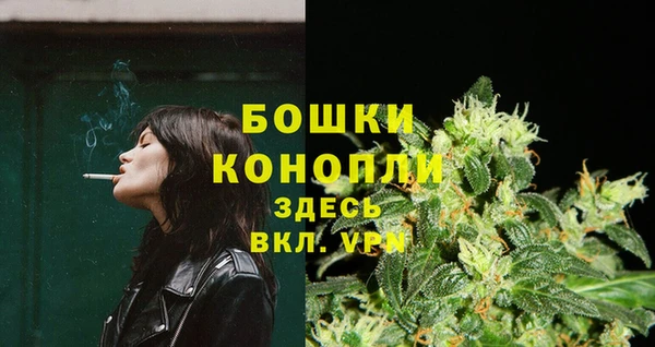 эйфоретик Белокуриха