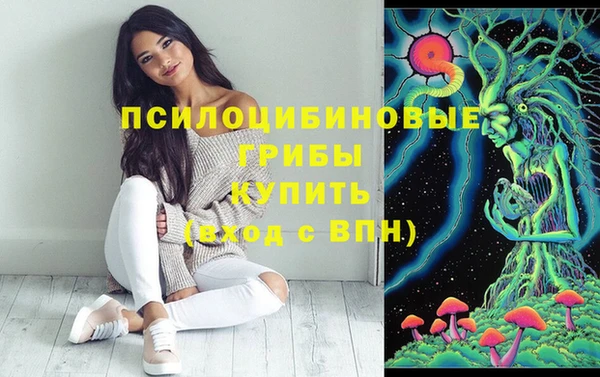эйфоретик Белокуриха