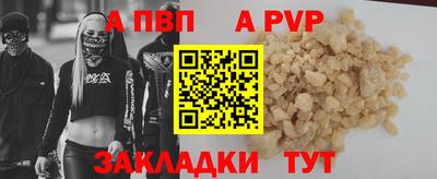 СК Гатчина