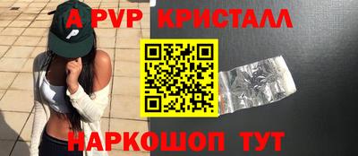 СК Гатчина