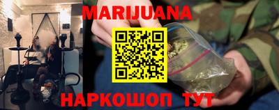 СК Гатчина