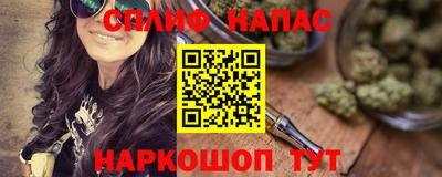 СК Гатчина