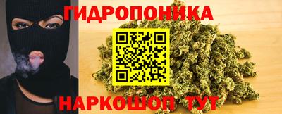 крисы Гагарин