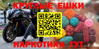 СК Гатчина