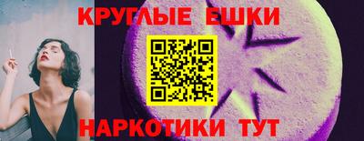 СК Гатчина