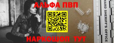 СК Гатчина