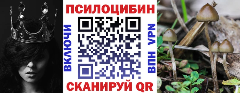 Псилоцибиновые грибы GOLDEN TEACHER  где можно купить   Городец 