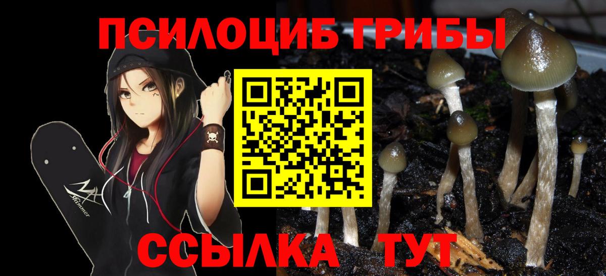 Галлюциногенные грибы прущие грибы  Городец 