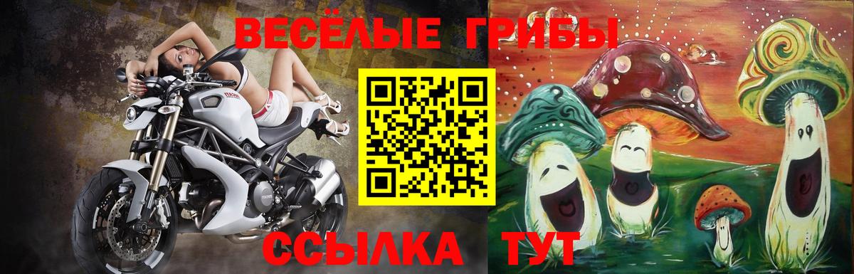 наркота  Вход с VPN  Псилоцибиновые грибы GOLDEN TEACHER  Городец  Галлюциногенные грибы Magic Shrooms 