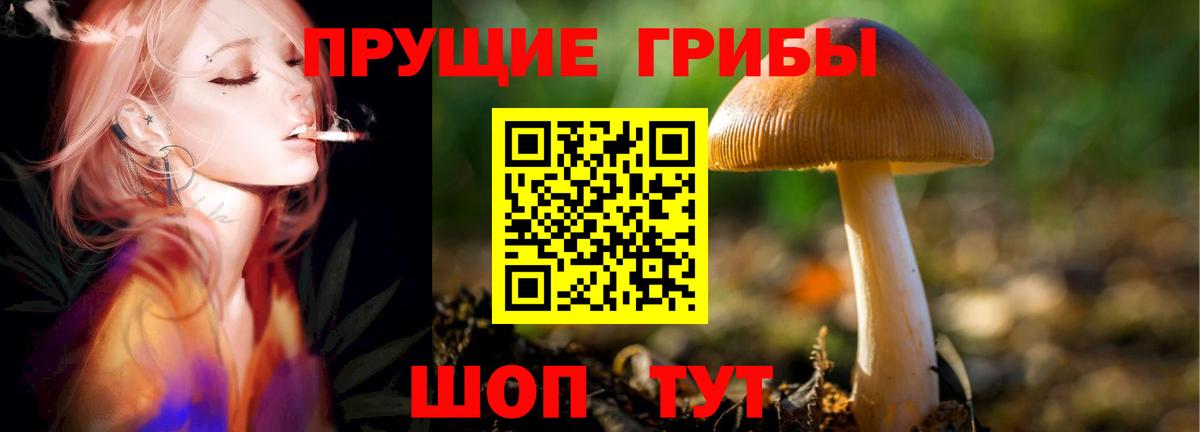 Галлюциногенные грибы мухоморы Городец